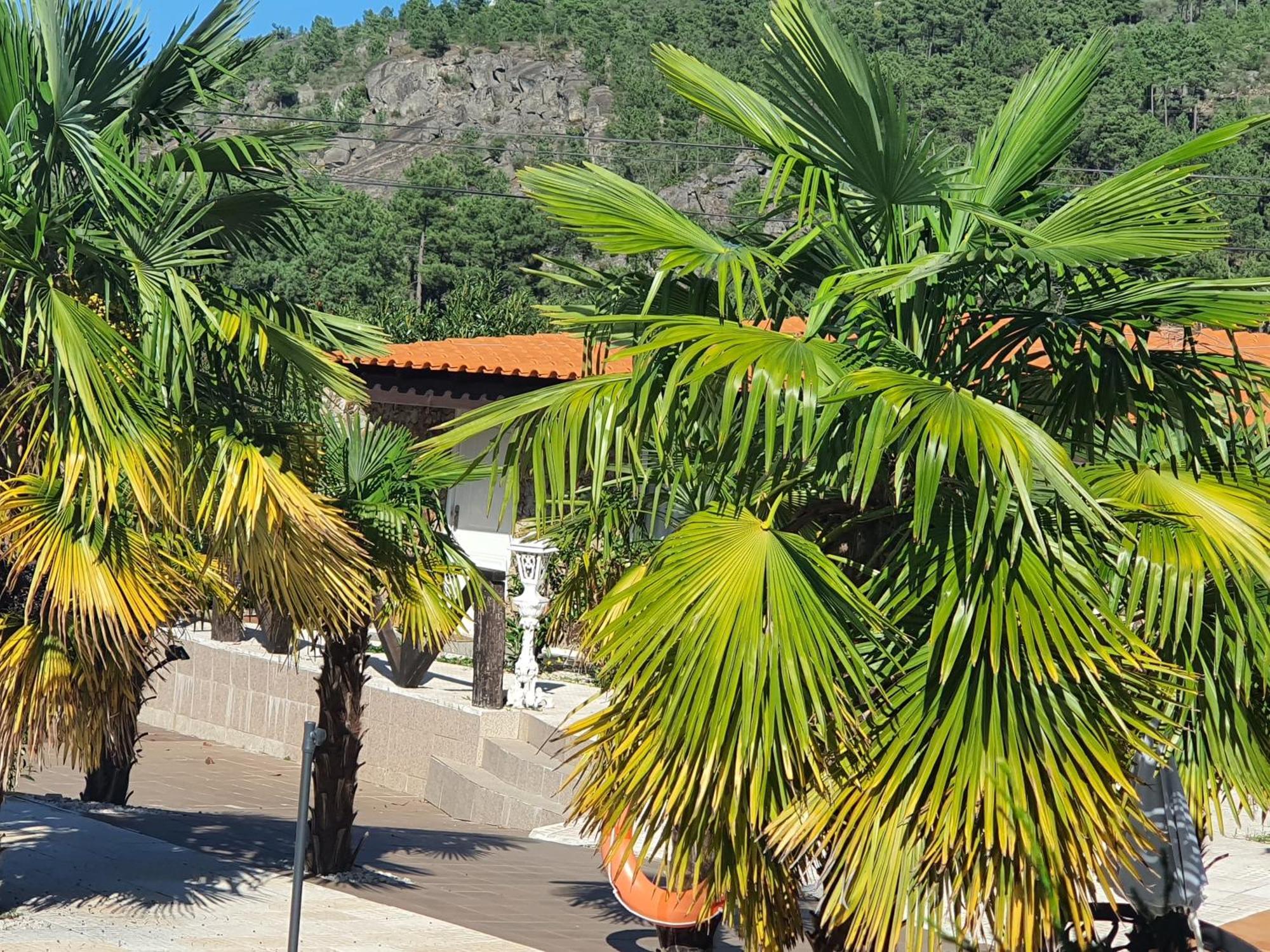 Gojim Casa Rural Armamar Buitenkant foto